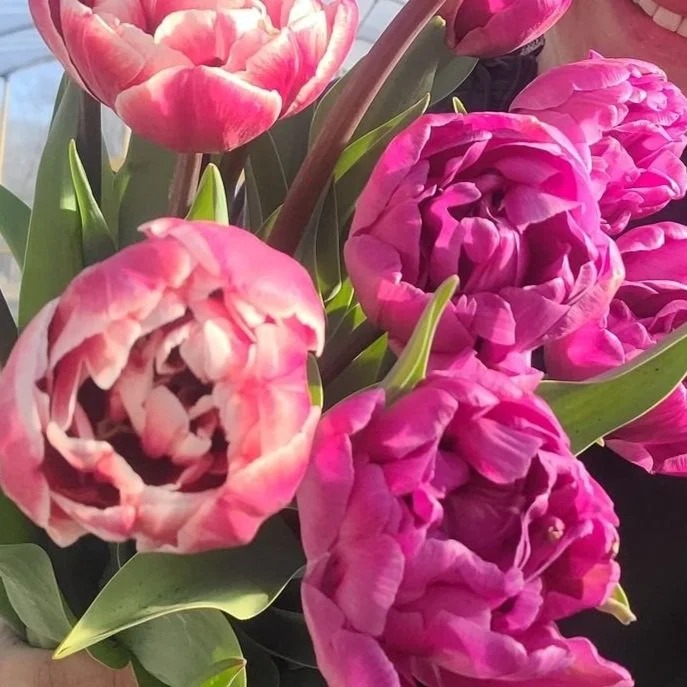 My Sweet P's Flower Farm 