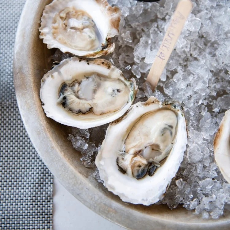 Aquidneck Island Oyster Company Co. 