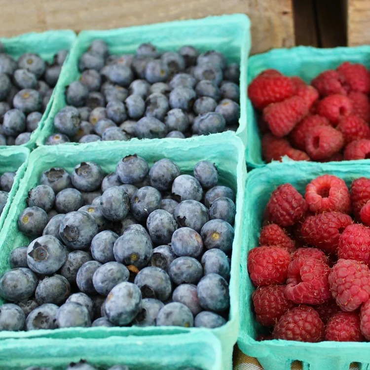 Barden Family Orchard 